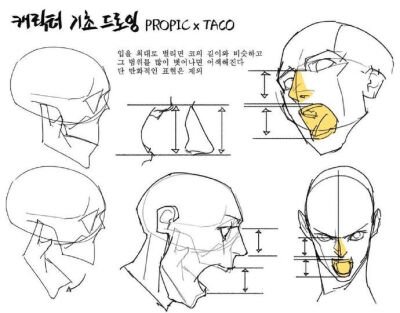 人体绘画教程眼睛侧面正面画法几何