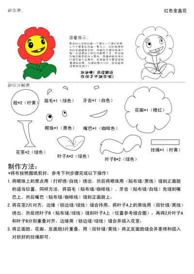 红色金盏花