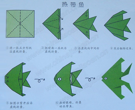 热带鱼