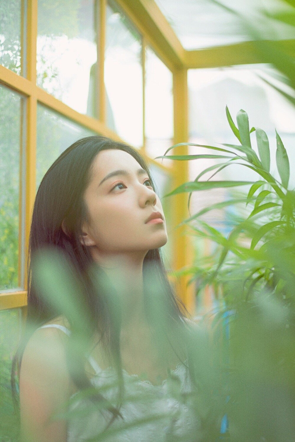 庄达菲 - 堆糖,美图壁纸兴趣社区