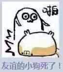 友谊的小狗死了。表情包