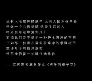 学习 努力 励志 高考 作文素材