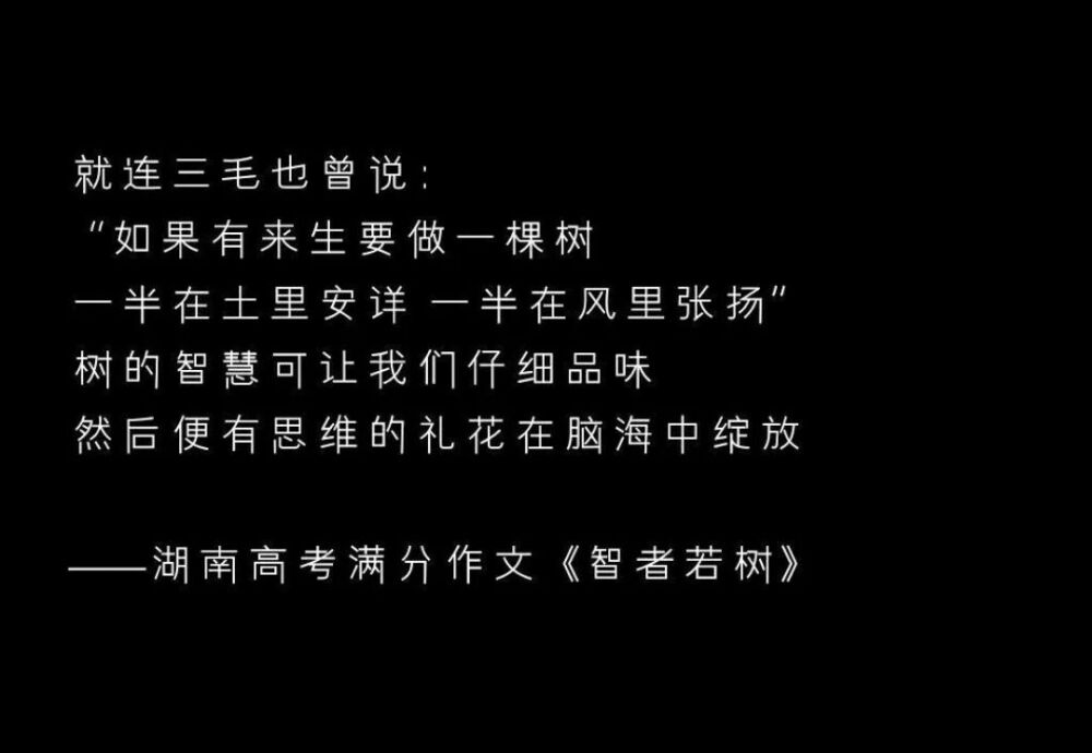 学习 努力 励志 高考 作文素材