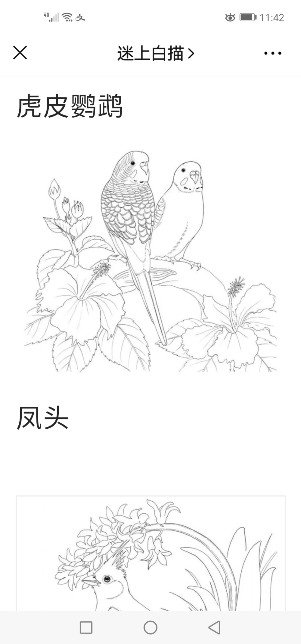 白描花鸟