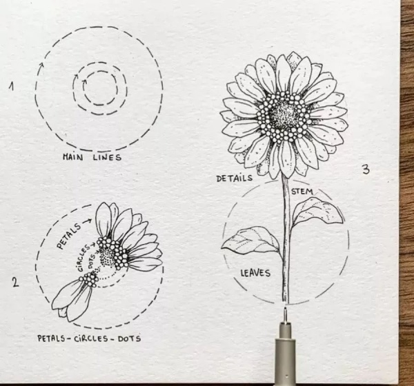 黑白线条花卉图