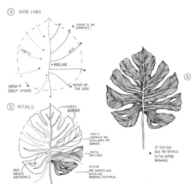 黑白线条花卉图