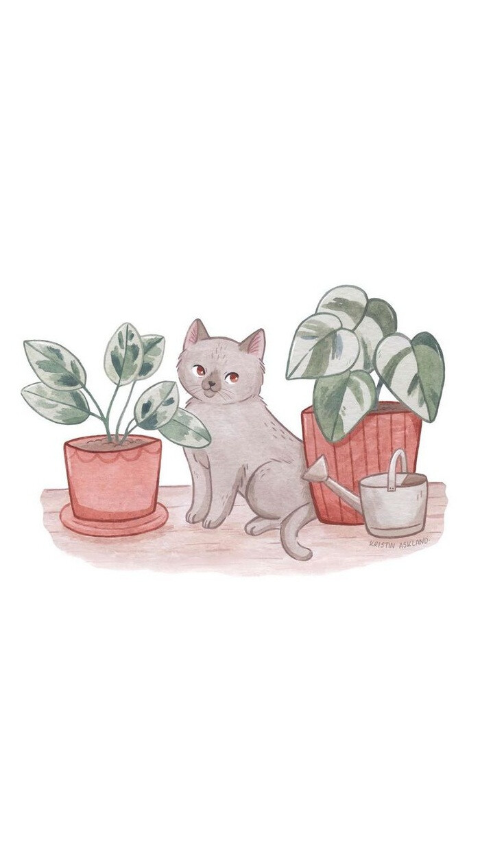 猫咪呀
By:Kristin Askland. 