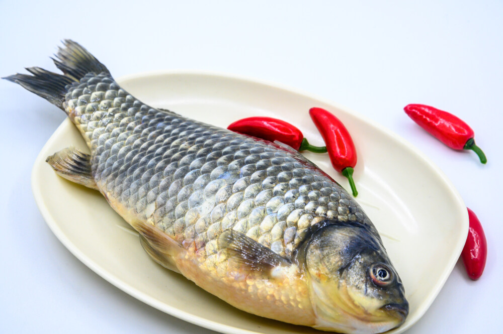 鲫鱼 生物 水生生物 水产品 海产品 鱼类 海鲜 狗杠鱼 推浪鱼 沙逛鱼 地龙鱼 天浪鱼 光鱼 海鱼 新鲜 动物 海洋动物 室内 食材 食物 待加工 烹饪 野生鱼 捕捞 特写 黑色背景 容器 简单背景 白瓷盘 瓷器 整条鱼 饮食 营养丰富 中国 葱 大葱 蒜 大蒜 辣椒 红色 辛辣 佐料 调料
