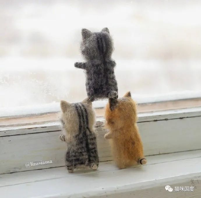小动物来袭。