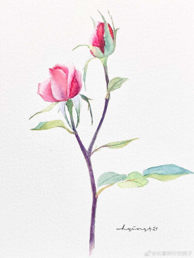 花卉