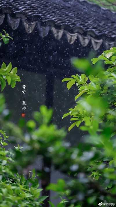 夏雨｜瞻园
听雨眠，一蓑烟雨枕江南。
摄影：@許興咏 #遇见美好时光##就要这young拍# ​​​