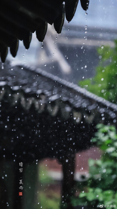 夏雨｜瞻园
听雨眠，一蓑烟雨枕江南。
摄影：@許興咏 #遇见美好时光##就要这young拍# ​​​