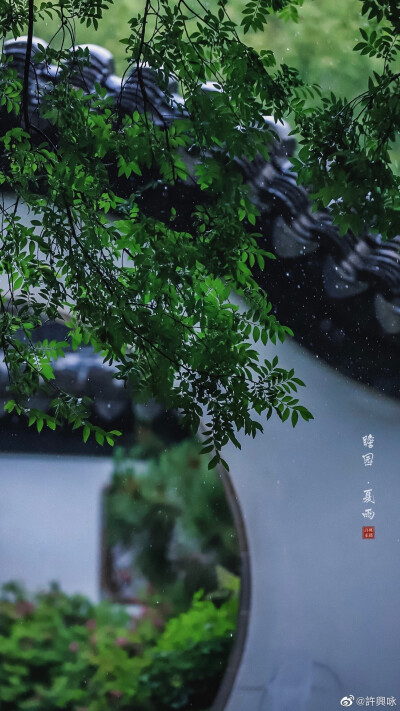 夏雨｜瞻园
听雨眠，一蓑烟雨枕江南。
摄影：@許興咏 #遇见美好时光##就要这young拍# ​​​