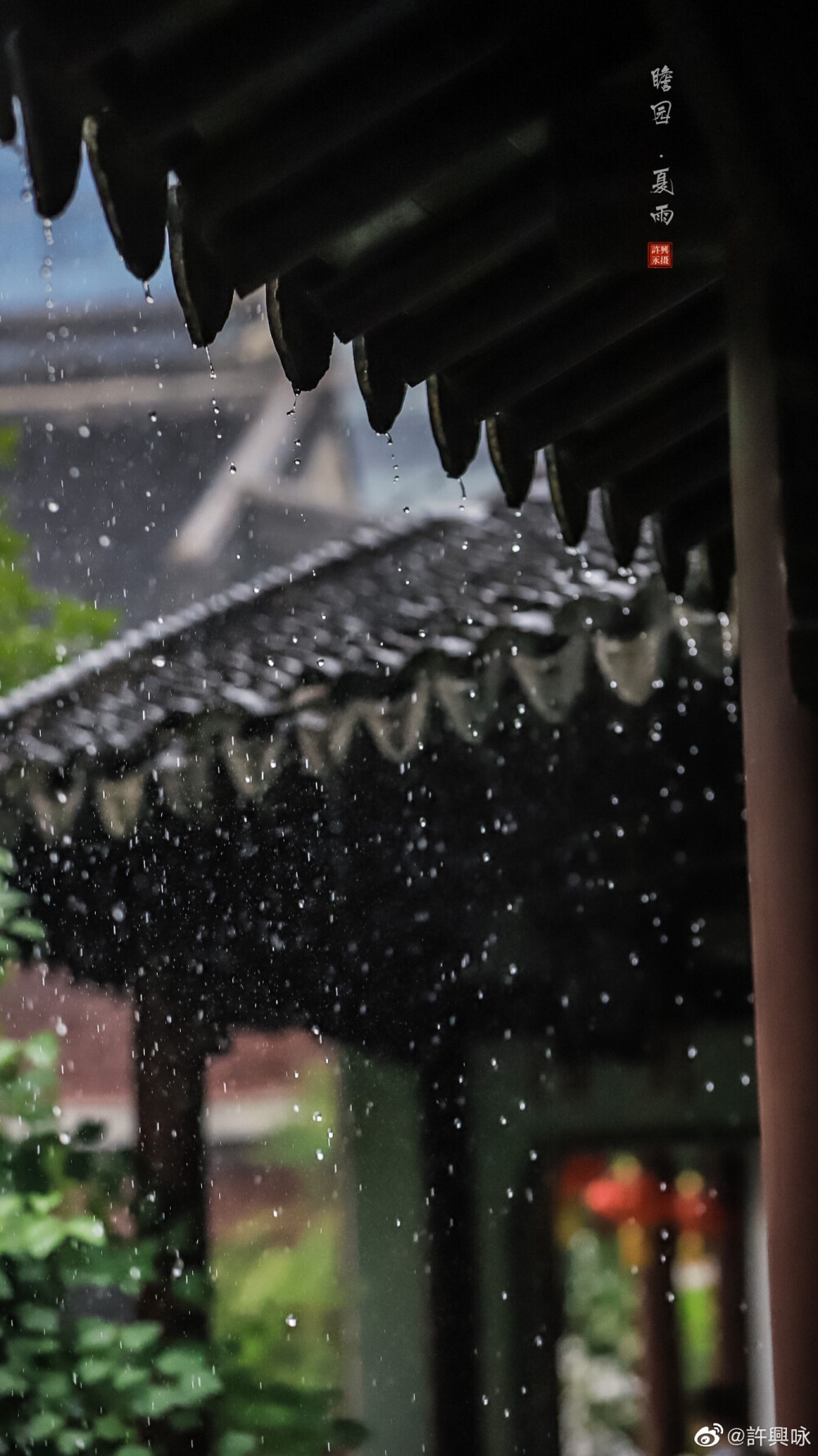 夏雨｜瞻园
听雨眠，一蓑烟雨枕江南。
摄影：@許興咏 #遇见美好时光##就要这young拍# ​​​