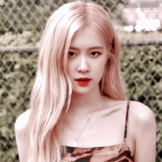 rosé 朴彩英 头像 