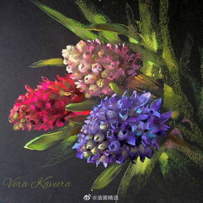 色粉花卉--Vera Kavura ​​​
