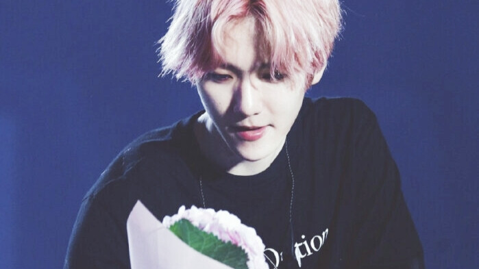 人气明星 边伯贤