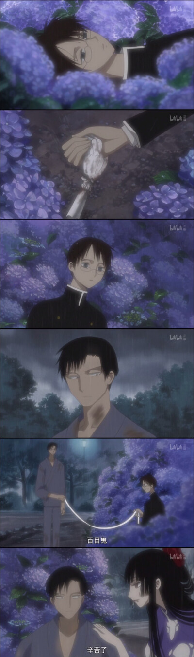 xxxholic 「紫陽花」