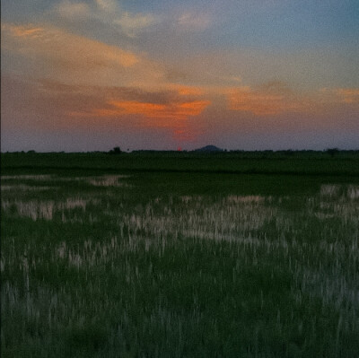 
“吹着夏天的风，去看橘黄的天空”
