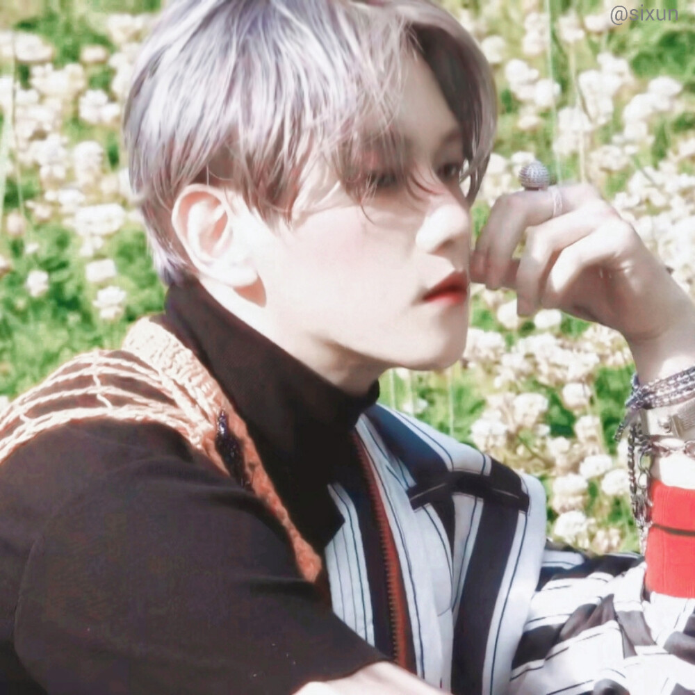 玫瑰到了花期，我也有点想你。