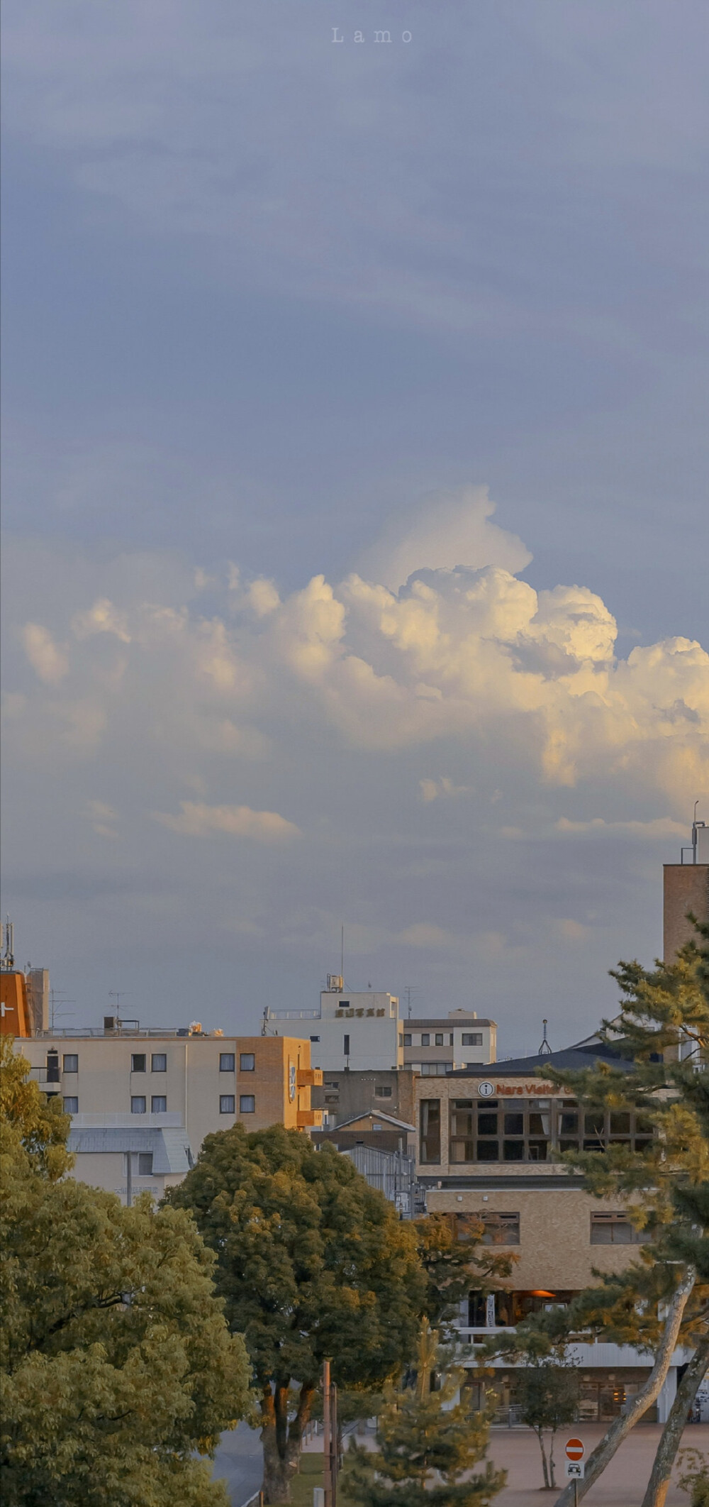 夏日壁纸