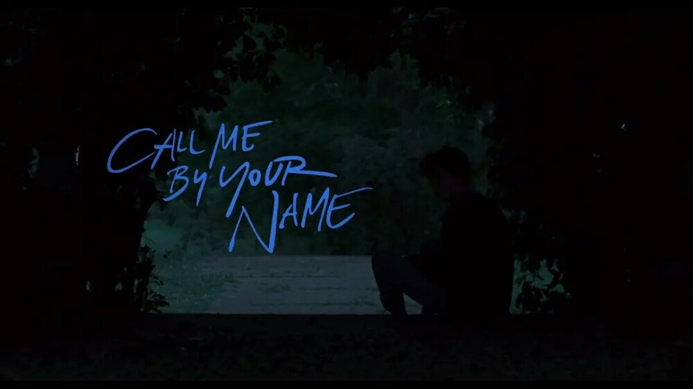 请以你的名字呼唤我 Call Me by Your Name