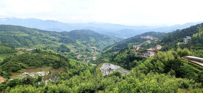 初夏时节，万物峥嵘。位于江西省吉安市遂川县左安镇的桃源梯田风景如画，吸引了许多游客前来观赏游玩。桃源梯田主要以农业梯田景观为主体，融客家民族风情为一体。桃源梯田层层叠叠，高低错落，大小不一，其线条行云…