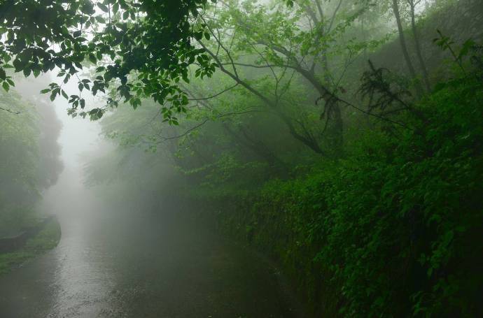 【原创】《等一场雨》
那些在春天静默的目光，彼此熟悉
睡去，或者醒来
草木蒙尘，肮脏的，不只是草木
世界需要一场雨，洗去疼痛
残雪在鸟鸣里故去，离我
只有一朵花开的距离
熬过寒冷，却依旧追不上风的影子
在发白的夜色里，抱紧自己
我必须借助所有的忍耐，等一声惊雷
被我抛弃的炊烟，已长满白发
我一直试图找到自己的乳名
连同自己的脚印，还有脚印里的记忆
它们被一场雪，埋在了冬天
在几近荒芜的欲望里修行，迷途
而不知返，比奔走的河流还要固执
抬起头，等天空变成灰色
等一场雨，落下
我在滴滴答答的梦里，继续行走
文/陈宝文，笔名墨篱、云舒，河北省平泉市人，喜欢自由自在的生活，2015年开始学习写作诗歌。 #诗词#