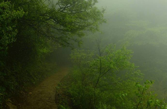 【原创】《等一场雨》
那些在春天静默的目光，彼此熟悉
睡去，或者醒来
草木蒙尘，肮脏的，不只是草木
世界需要一场雨，洗去疼痛
残雪在鸟鸣里故去，离我
只有一朵花开的距离
熬过寒冷，却依旧追不上风的影子
在发白的夜色里，抱紧自己
我必须借助所有的忍耐，等一声惊雷
被我抛弃的炊烟，已长满白发
我一直试图找到自己的乳名
连同自己的脚印，还有脚印里的记忆
它们被一场雪，埋在了冬天
在几近荒芜的欲望里修行，迷途
而不知返，比奔走的河流还要固执
抬起头，等天空变成灰色
等一场雨，落下
我在滴滴答答的梦里，继续行走
文/陈宝文，笔名墨篱、云舒，河北省平泉市人，喜欢自由自在的生活，2015年开始学习写作诗歌。 #诗词#