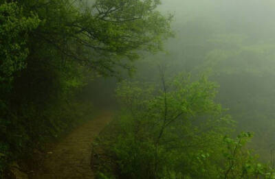 【原创】《等一场雨》
那些在春天静默的目光，彼此熟悉
睡去，或者醒来
草木蒙尘，肮脏的，不只是草木
世界需要一场雨，洗去疼痛
残雪在鸟鸣里故去，离我
只有一朵花开的距离
熬过寒冷，却依旧追不上风的影子
在发…