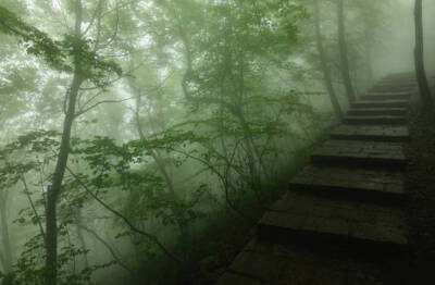 【原创】《等一场雨》
那些在春天静默的目光，彼此熟悉
睡去，或者醒来
草木蒙尘，肮脏的，不只是草木
世界需要一场雨，洗去疼痛
残雪在鸟鸣里故去，离我
只有一朵花开的距离
熬过寒冷，却依旧追不上风的影子
在发…