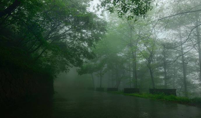 【原创】《等一场雨》
那些在春天静默的目光，彼此熟悉
睡去，或者醒来
草木蒙尘，肮脏的，不只是草木
世界需要一场雨，洗去疼痛
残雪在鸟鸣里故去，离我
只有一朵花开的距离
熬过寒冷，却依旧追不上风的影子
在发白的夜色里，抱紧自己
我必须借助所有的忍耐，等一声惊雷
被我抛弃的炊烟，已长满白发
我一直试图找到自己的乳名
连同自己的脚印，还有脚印里的记忆
它们被一场雪，埋在了冬天
在几近荒芜的欲望里修行，迷途
而不知返，比奔走的河流还要固执
抬起头，等天空变成灰色
等一场雨，落下
我在滴滴答答的梦里，继续行走
文/陈宝文，笔名墨篱、云舒，河北省平泉市人，喜欢自由自在的生活，2015年开始学习写作诗歌。 #诗词#