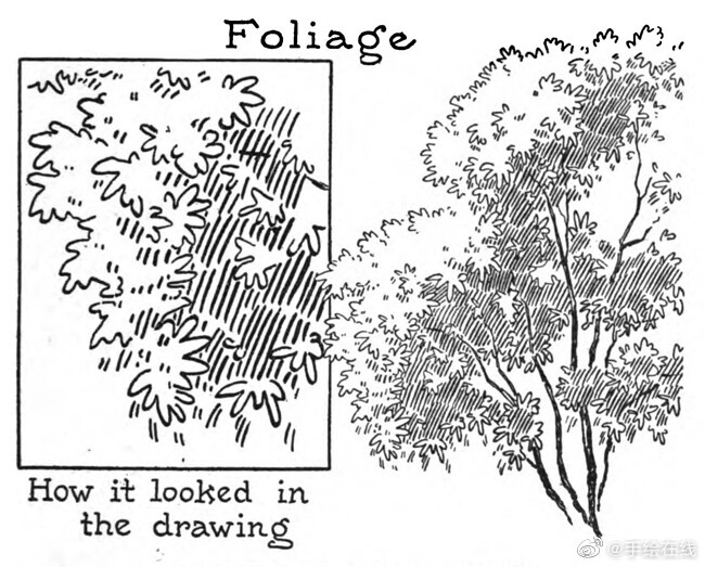 [cp]#景观手绘[超话]# 植物与天空的手绘画法 ​[/cp]