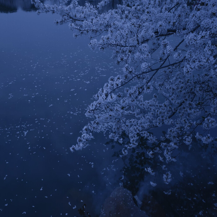 【原创】《路过有风的街口》
摘下夜晚第一颗亮着的星
熨平脚下的路
我用温热的胸口抵住向晚的风
那盏灯，昏黄
像晦涩的目光
还有多少留恋来不及带走
早已记不清
是谁在云朵下为我唱歌
谁又在我的生命里守候
一朵雪花
可以萦白整个世界
却无法在我的指尖停留
延伸的，是一个梦
用疼痛打开时钟的针
那是另一种相逢
夜色浓成了河
如织的车流穿梭在城市
而我，正路过有风的街口
文/陈宝文，笔名墨篱、云舒，河北省平泉市人，喜欢自由自在的生活，2015年开始学习写作诗歌。
#诗词#