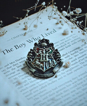 斯莱特林·背景图