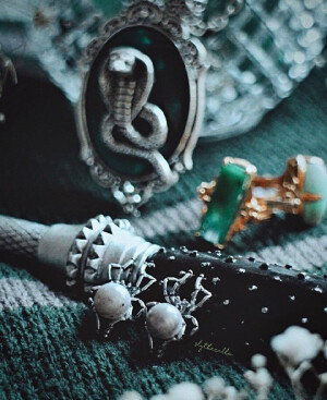 斯莱特林·背景图