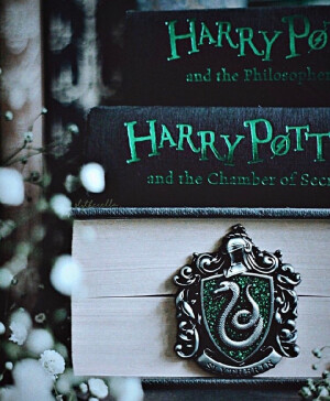 斯莱特林·背景图