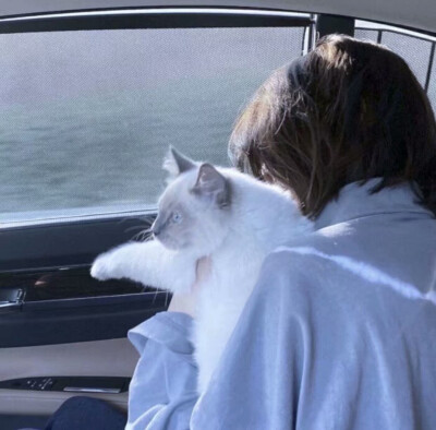 有点猛男