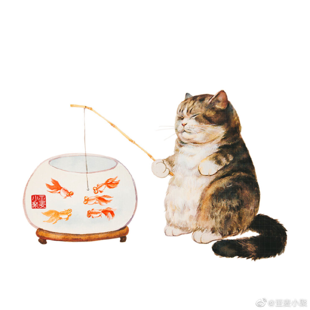 故宫猫