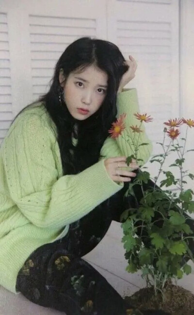 IU 李知恩 壁纸