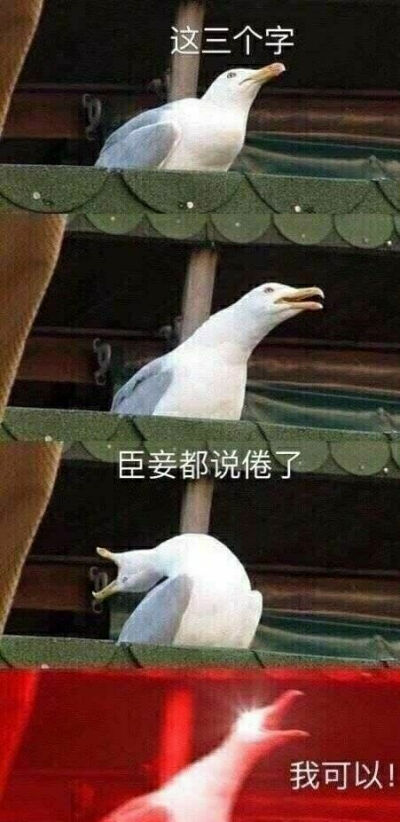 表情包