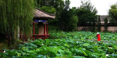 【原创】《唐多令 两阕》
《初夏》
花谢化泥痕，暑风吹走春。翠蒹葭、悄绿乾坤。碧柳枝摇莺婉啭，玉菡萏、满池璘。
望帝令鹃辛，夜深蛙鼓闻。漏滴敲、孤雁惊魂。瑞脑留香心伴月，忽明暗、怨流云。
《丁香》
蕾绽蕊…