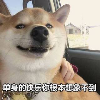 单身狗表情包