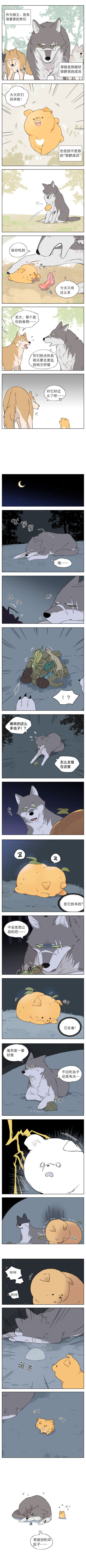 责任是保护小奶狗