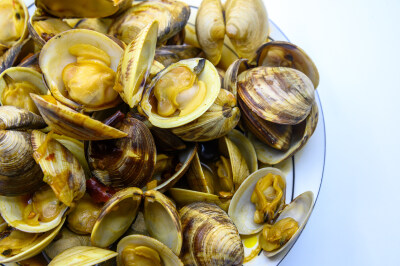 炒蛤蜊 蛤蜊 炒 炒菜 美食 食物 烹调 烹饪 容器 盘子 瓷盘 异形盘 白色瓷盘 圆盘子 静物 食品 中国 新鲜 特写 海鲜 贝壳 饮食 美味 形状 白色背景 摄影 亚洲 健康食物 海产 甲壳动物 有机食品 食物状态 营养 饮食文…