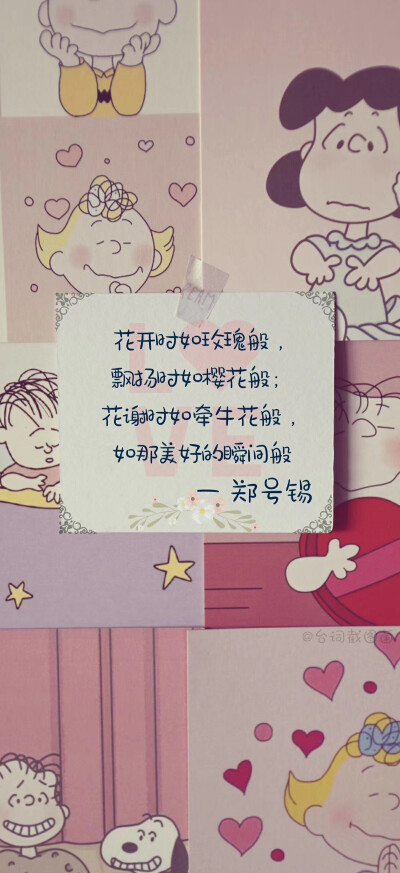 田柾国/闵玧其/金泰亨/朴智旻/郑号锡/金南俊/金硕珍/防弹少年团/壁纸
