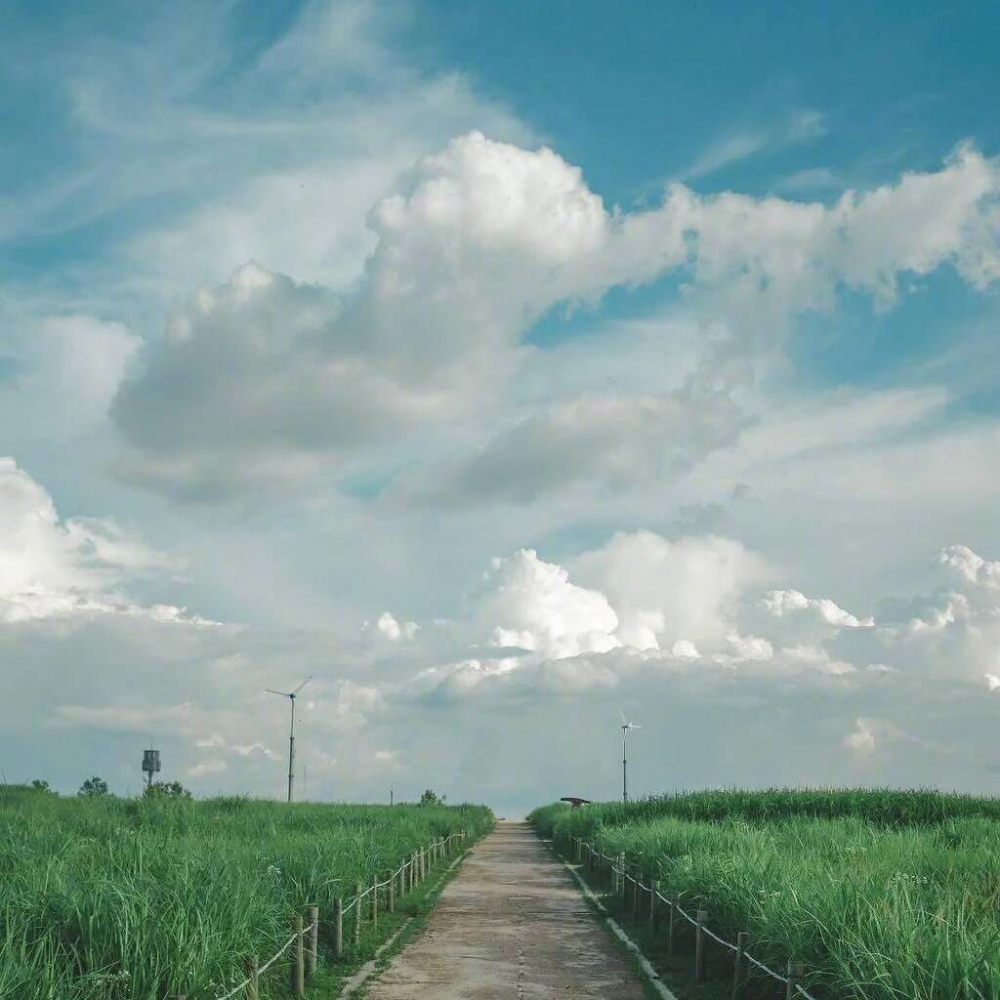 朋友圈风景背景图唯美