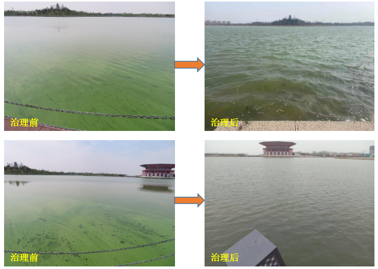 北京林源利景量子波原位水处理技术修复治理氨氮超标水体、蓝藻爆发水体等。