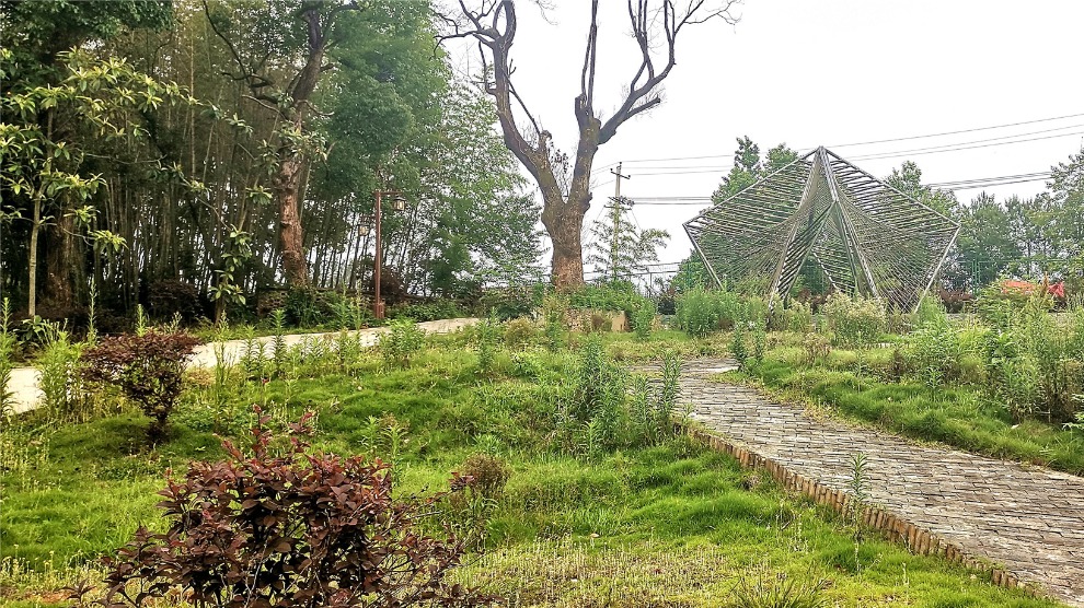 位于万安县枧头镇的夏木塘村，自然景色优美，乡野风光怡人，村庄房屋错落有致，古树繁茂且造型奇特，优良的生态环境与村落的建成环境交相辉映，成为远近市民周末休闲的好去处。夏木塘将源远流长的中华传统文化与游戏相结合，寓教于乐，让孩子在游戏中感受传统历史文化的精华所在，因此，夏木塘又称“中华民间游戏村”。(摄/肖勇)