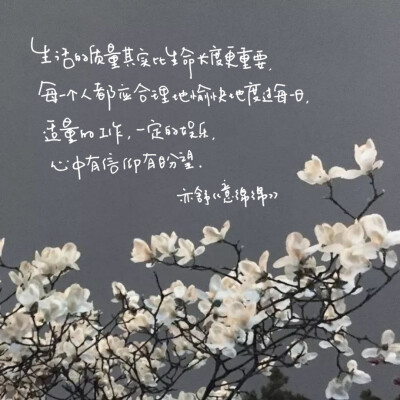 亦舒语录 文字手写